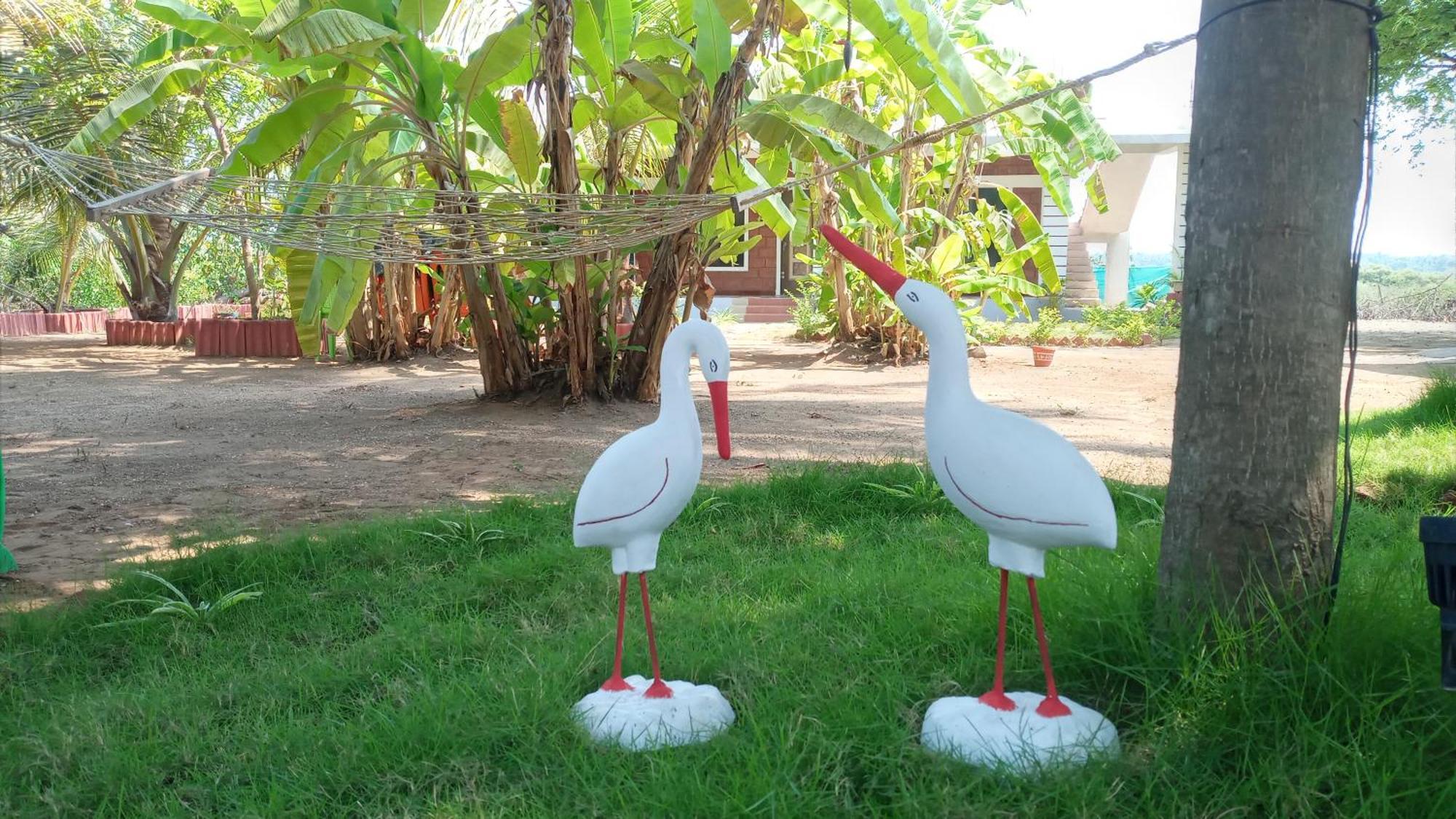 Coconut Village Resort Alibaug Esterno foto