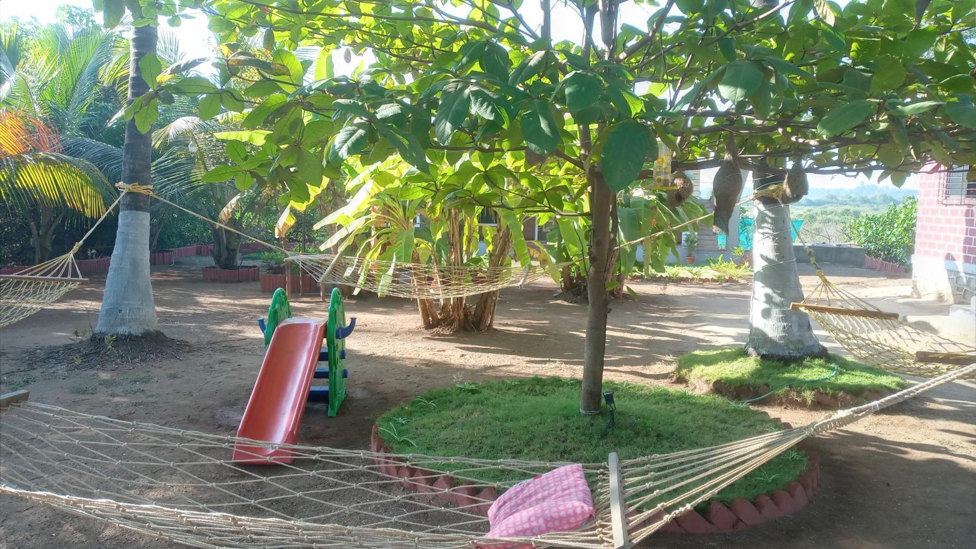 Coconut Village Resort Alibaug Esterno foto